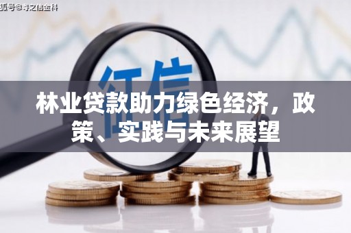 米易林业贷款助力绿色经济，政策、实践与未来展望