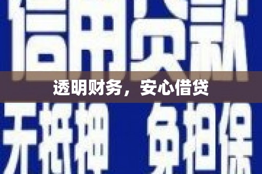 麦寮透明财务，安心借贷