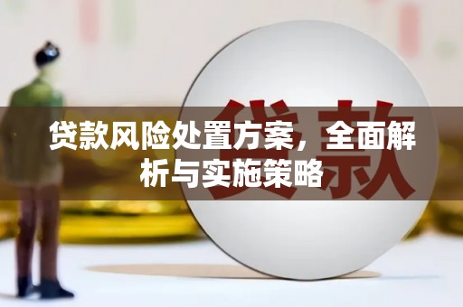 固始贷款风险处置方案，全面解析与实施策略