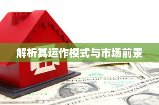 固阳解析其运作模式与市场前景