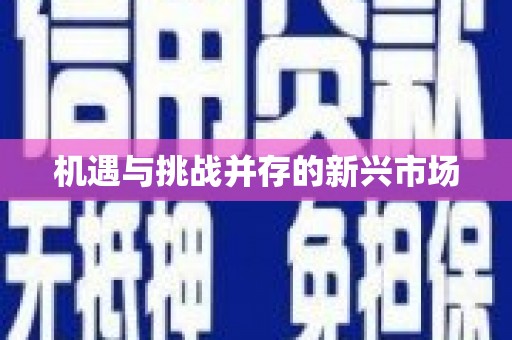 凤县机遇与挑战并存的新兴市场