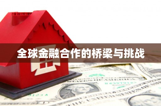 纳溪全球金融合作的桥梁与挑战