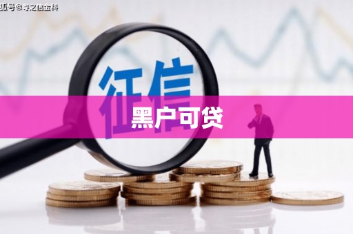 苑里黑户可贷